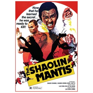 Thiếu Lâm Đường Lang Quyền (1978) (Vietsub)